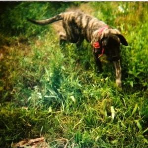 Meet your Posher, Cassandra